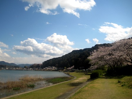 20140406-6_sakura_setagawa.JPG