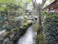 20120930-kamigamo1.jpg