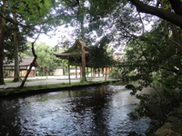 20120930-kamigamo2.jpg