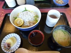 20130226-shirasu.jpg