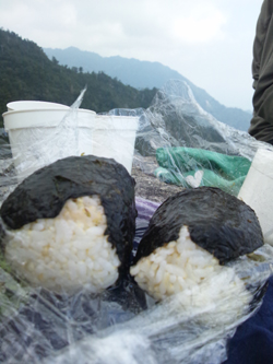 20130513-onigiri.jpg